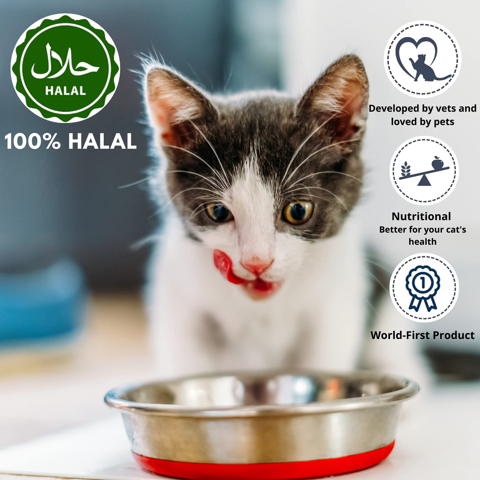 HalaCat — изображение 2