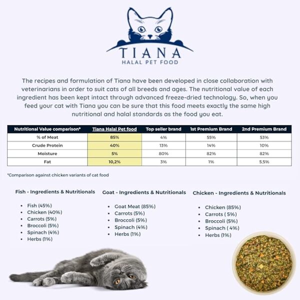TIANA — изображение 2